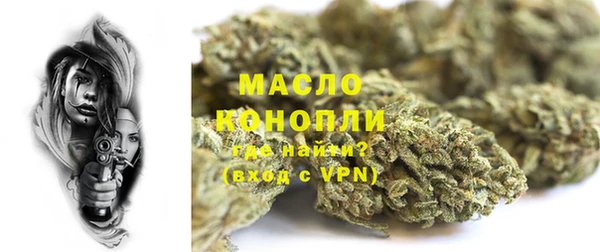 дживик Богородицк