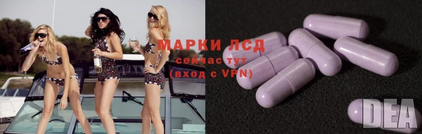 крисы Вязьма