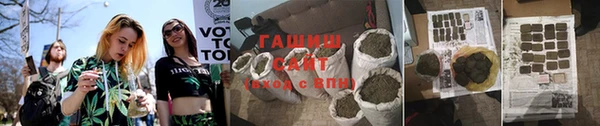 крисы Вязьма