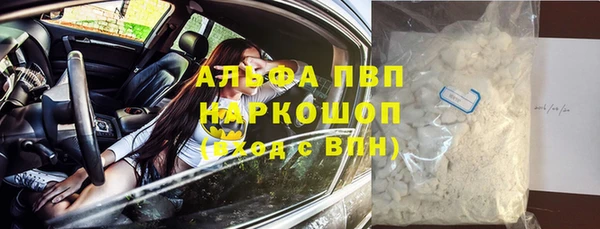 крисы Вязьма